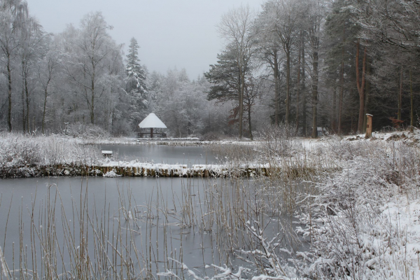 Langenberger Forst Fischteiche