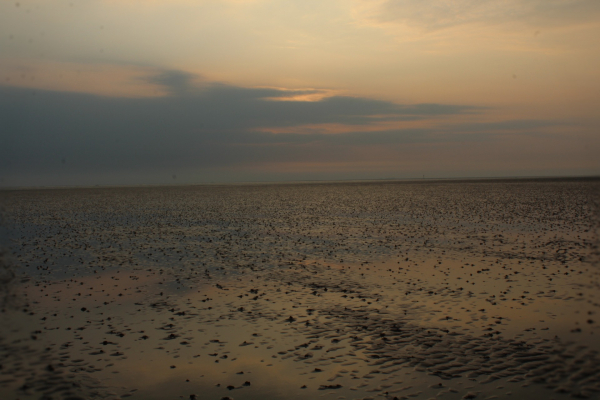 Hamburger Hallig Sonnenuntergang