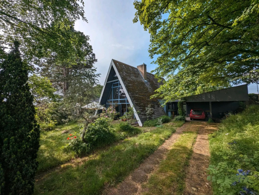 Außenansicht Süd Sommer